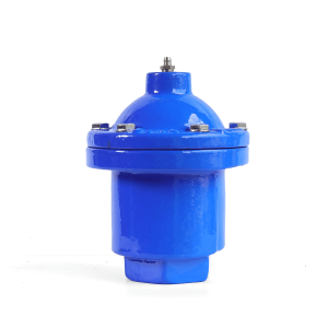 Van xả khí ren AUT | DN50 – DN150