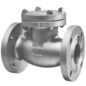 Van 1 chiều lá lật inox Wooken KSCS-10