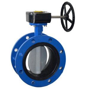 Van bướm 2 mặt bích