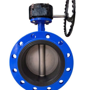 Van bướm mặt bích